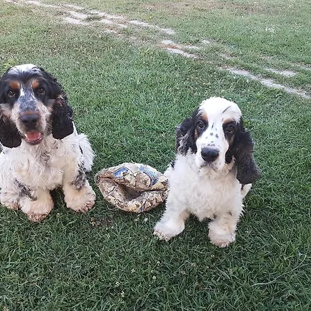 Ca Thomas Vendégház 3*