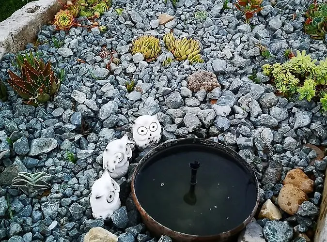 Guest house Ca Thomas